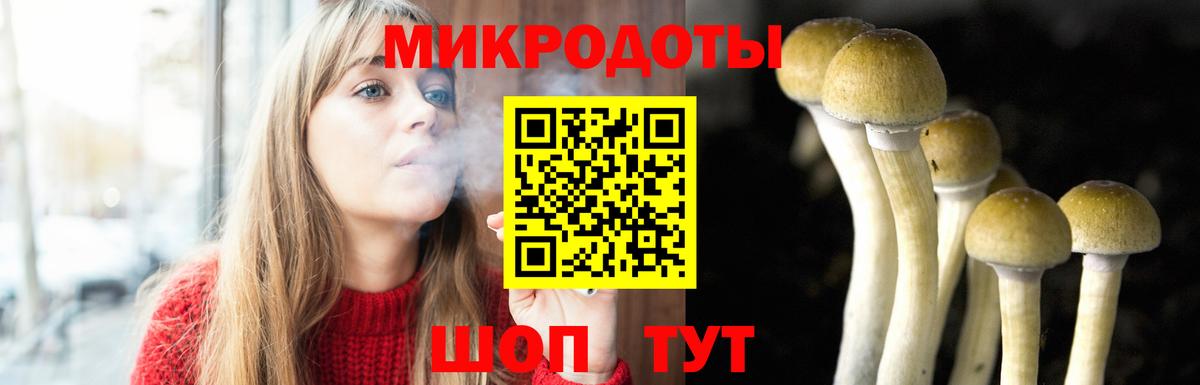 Галлюциногенные грибы мицелий  Вход с VPN  Ипатово 